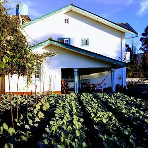 Affittacamere Vibe Way, Nuwara Eliya